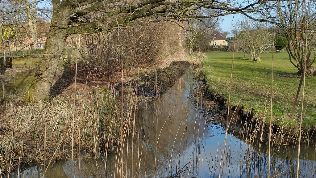 A Third of the dyke
		cleared