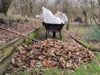 Leaves and a Wheelbarrow