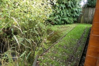 Path to rear of cabin