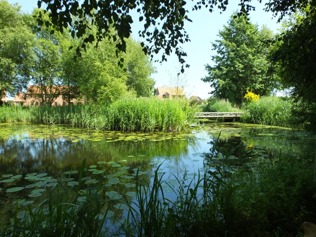 The Bridge and 'Pool'