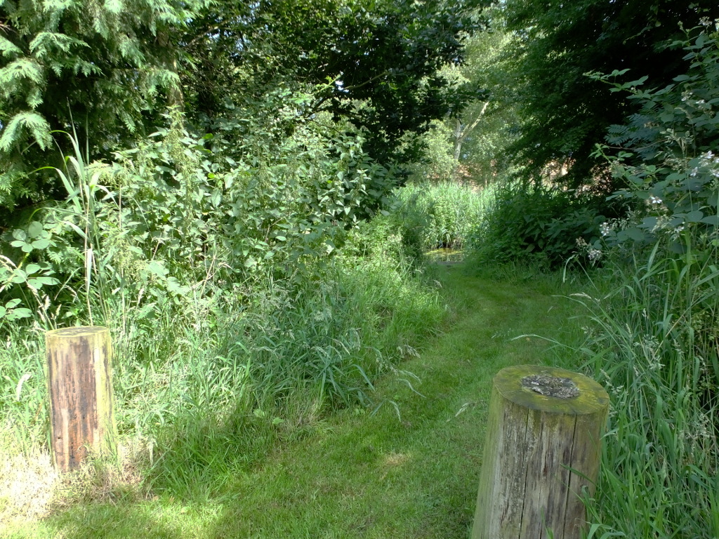 The Lake Edge Branch