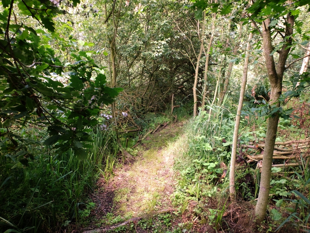 Approaching the Triangular Island