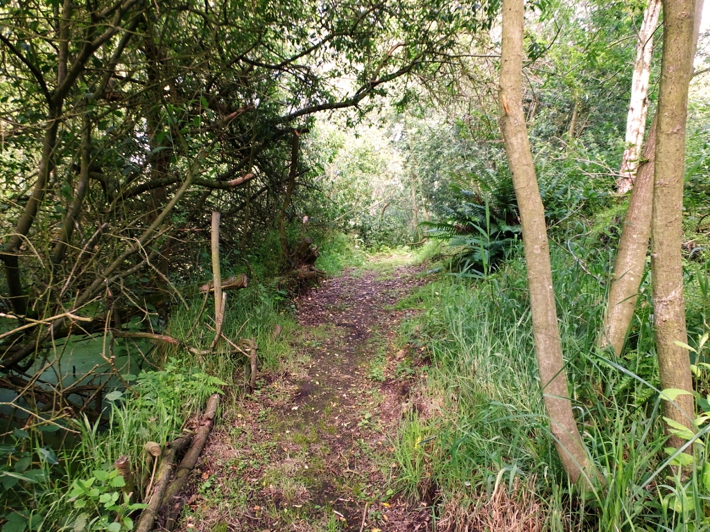 Passing the Triangular Island