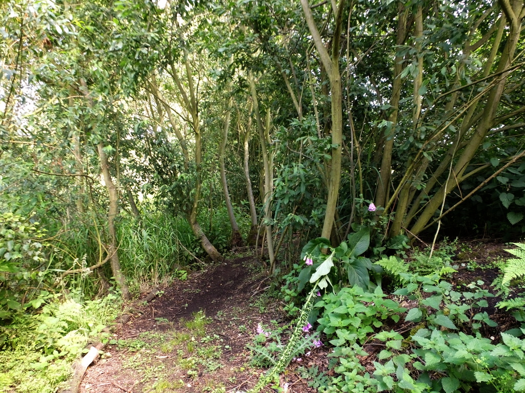 Completing the Turn to the East