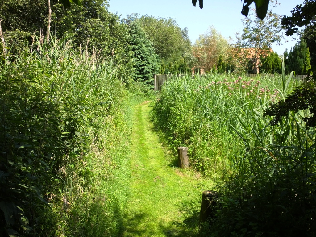 Approaching the Gate