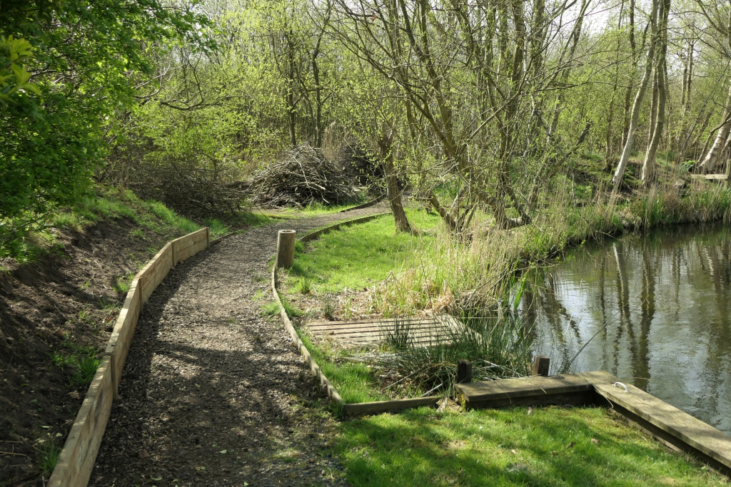 Proceeding From The Bridge