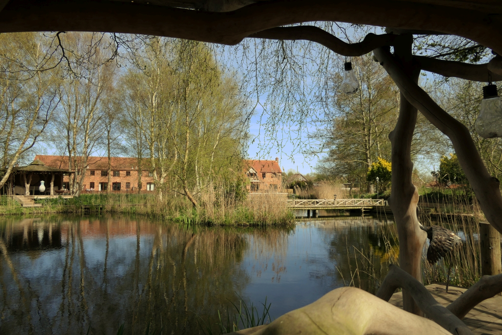 View From the Ruston Bench