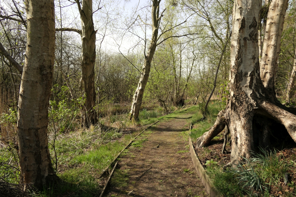 The Dykeside Path