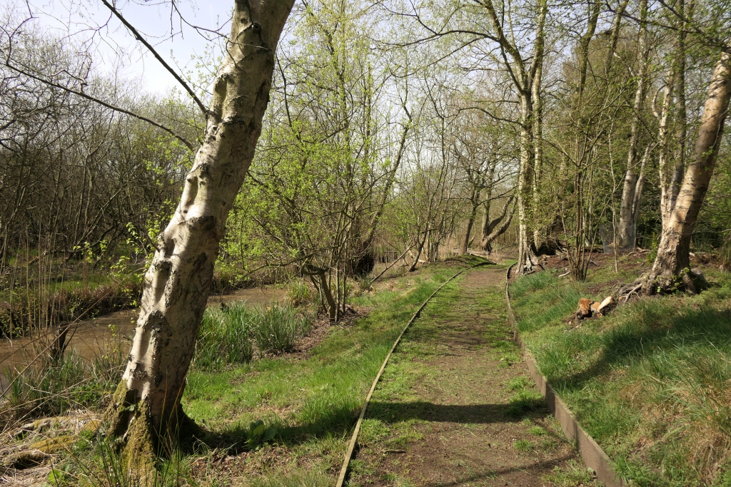 Continuing on the Dykeside Path