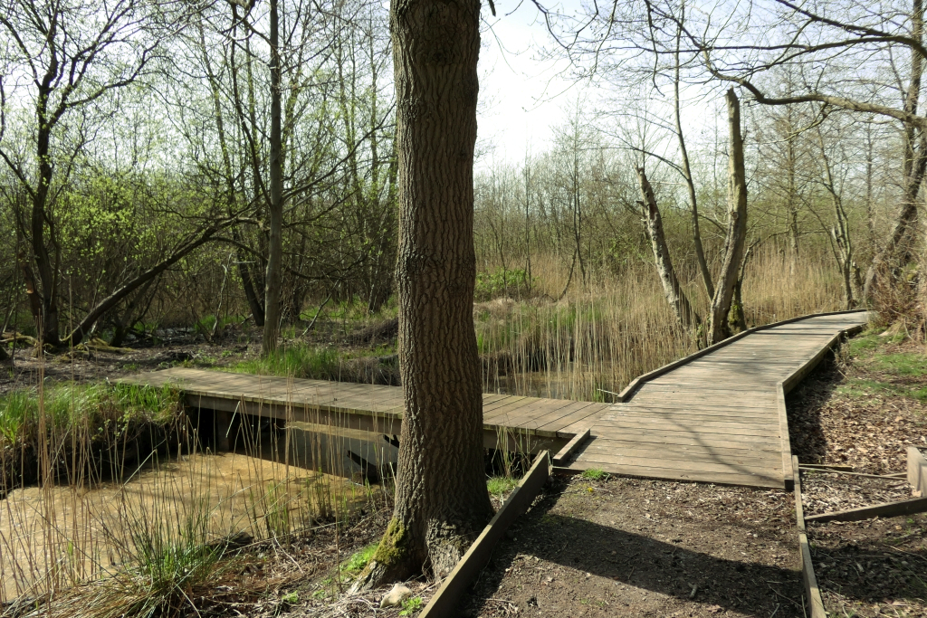 View South From The Bridge