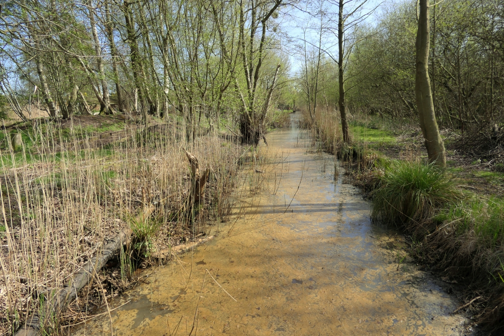 View South From The Bridge