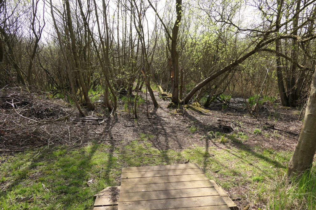View Across The Bridge