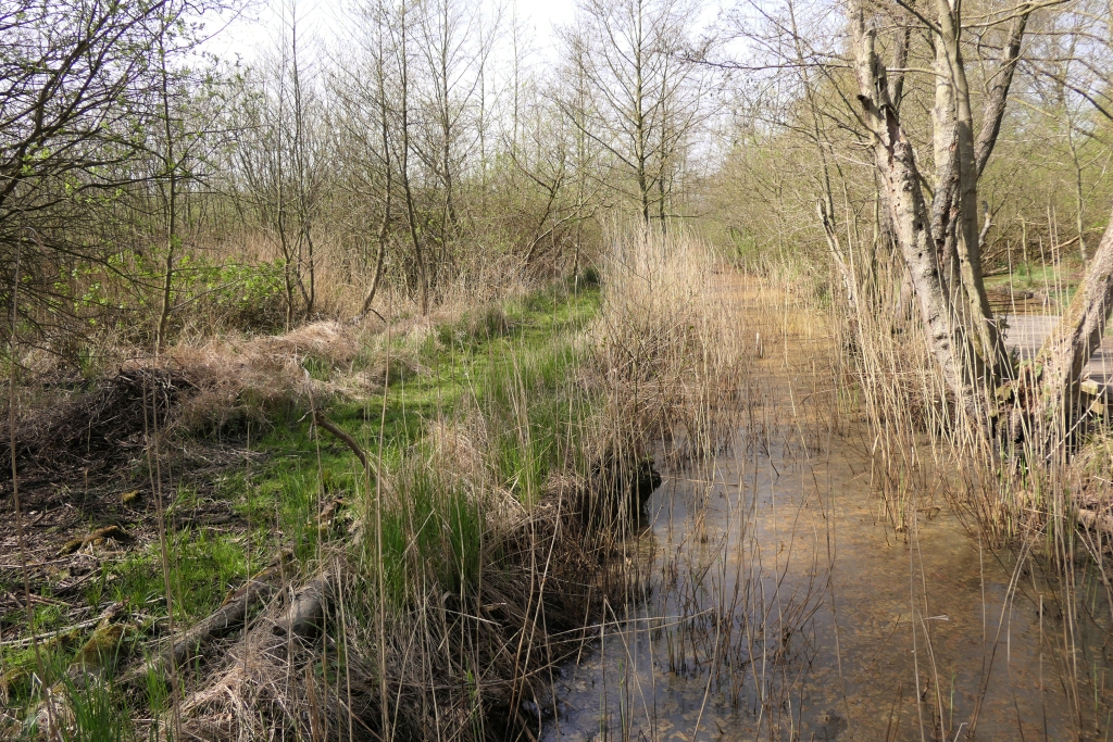 View North From The Bridge