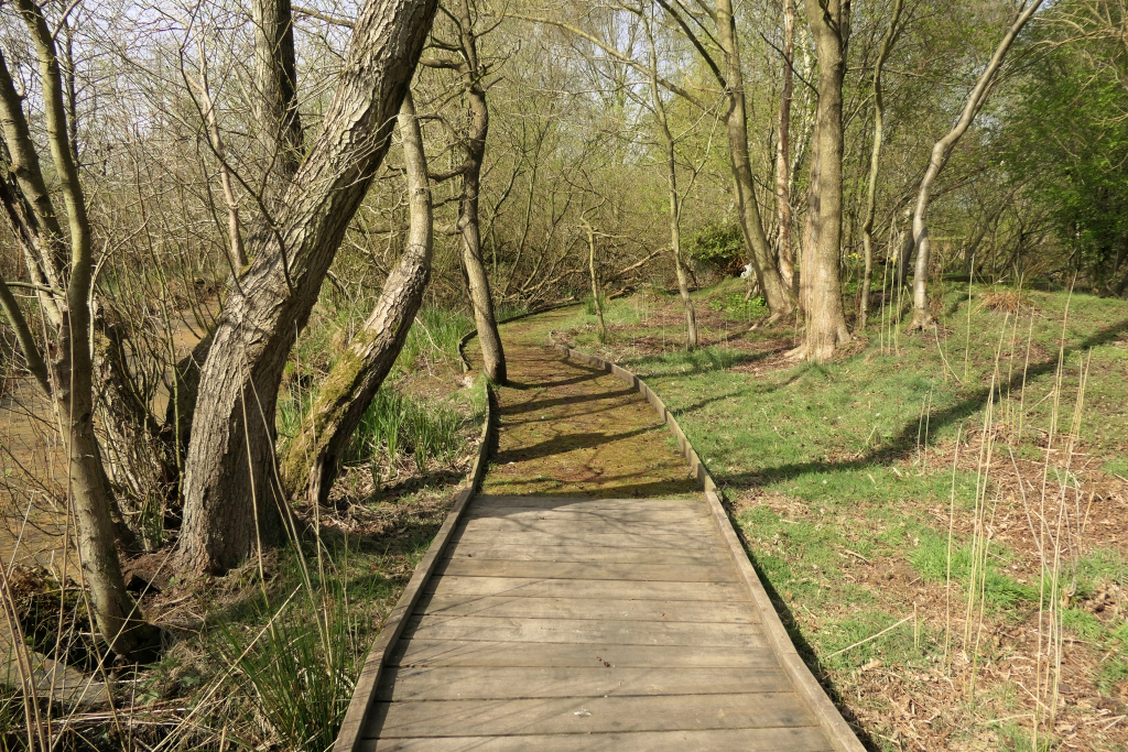 End Of The Boardwalk