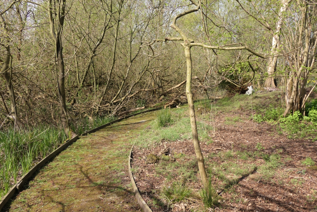 Approaching the North West Corner