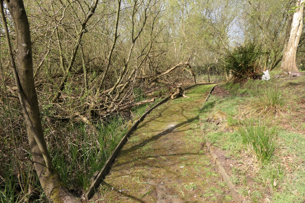 By the Triangular Island