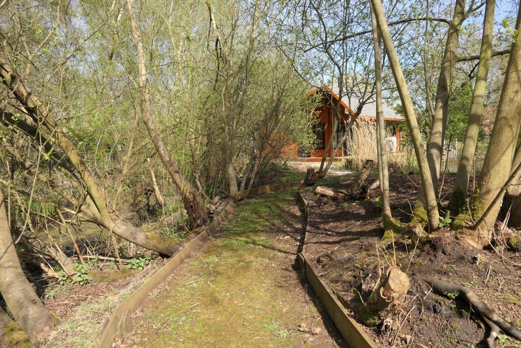 Completing the Turn to the East