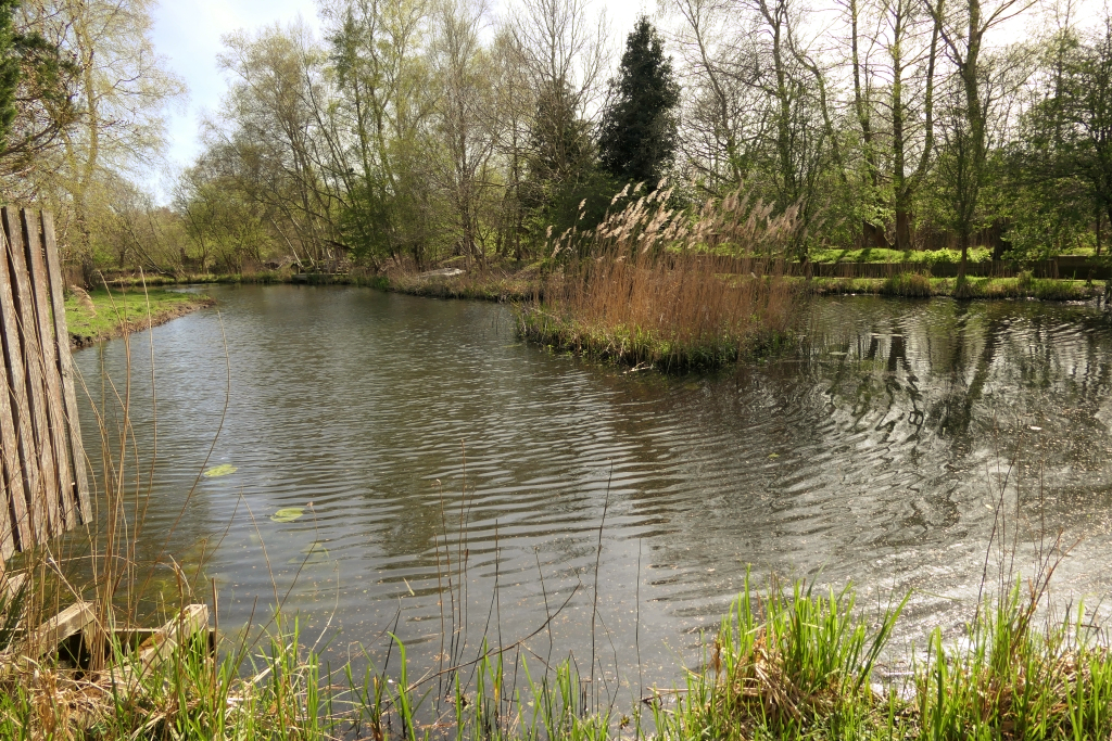 The Mann - View from Veranda