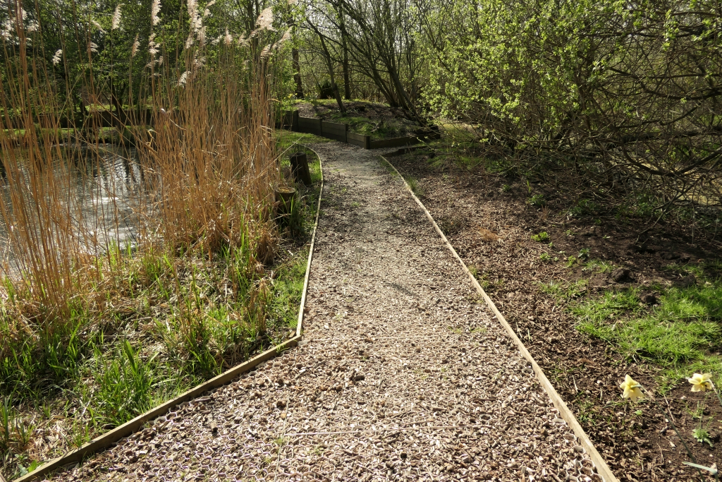 Returning To The New Path Junction