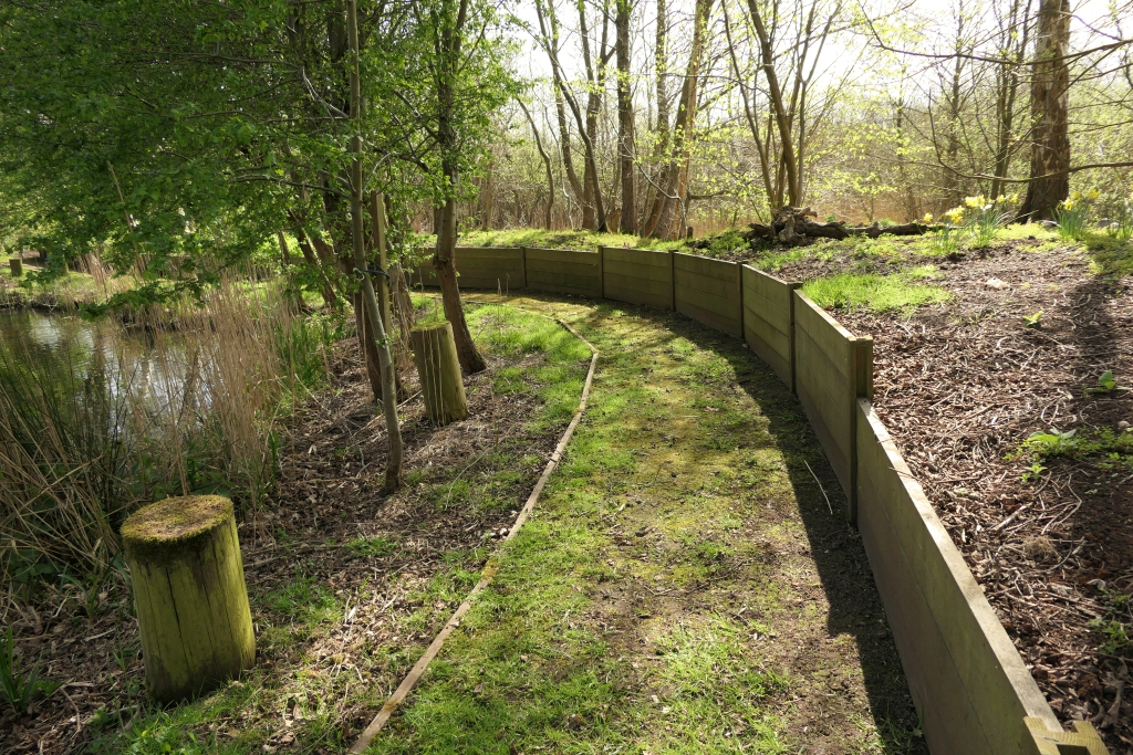 The Curve Around The Lake