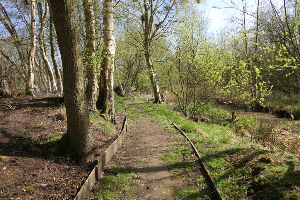 Return Beside The Dyke