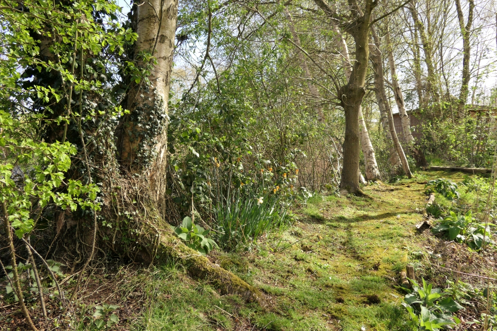 Returning From The Swan Nest Site