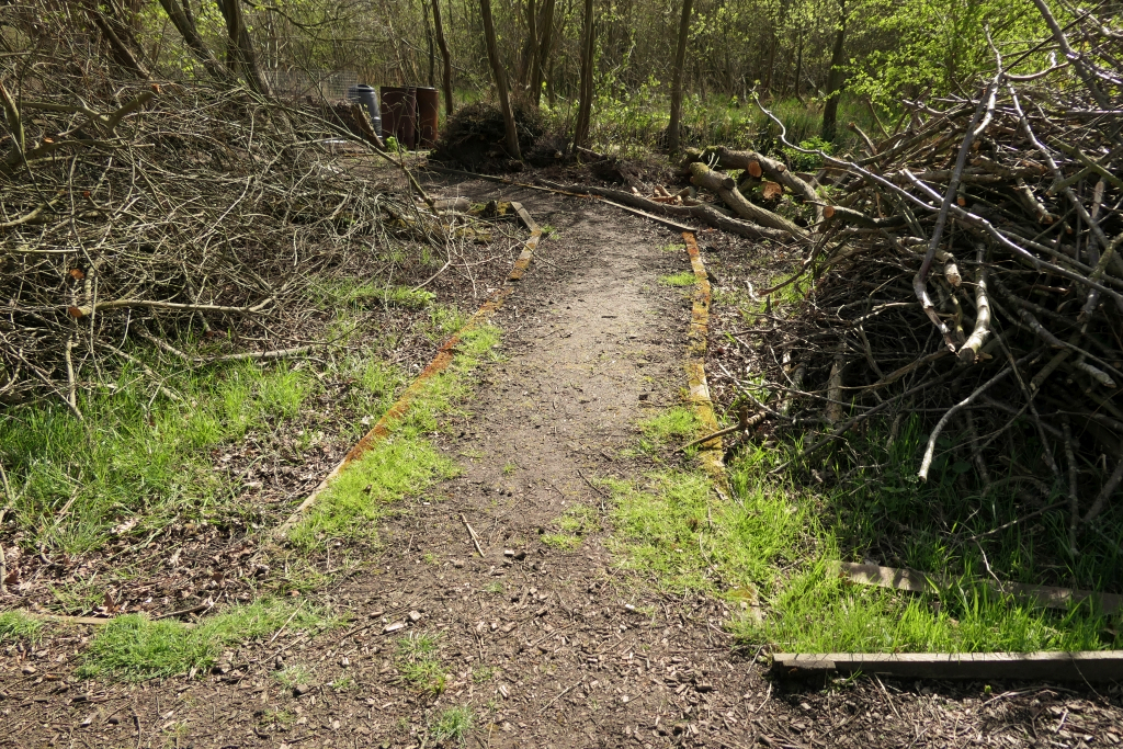 Back At the Ruston Bench Junction