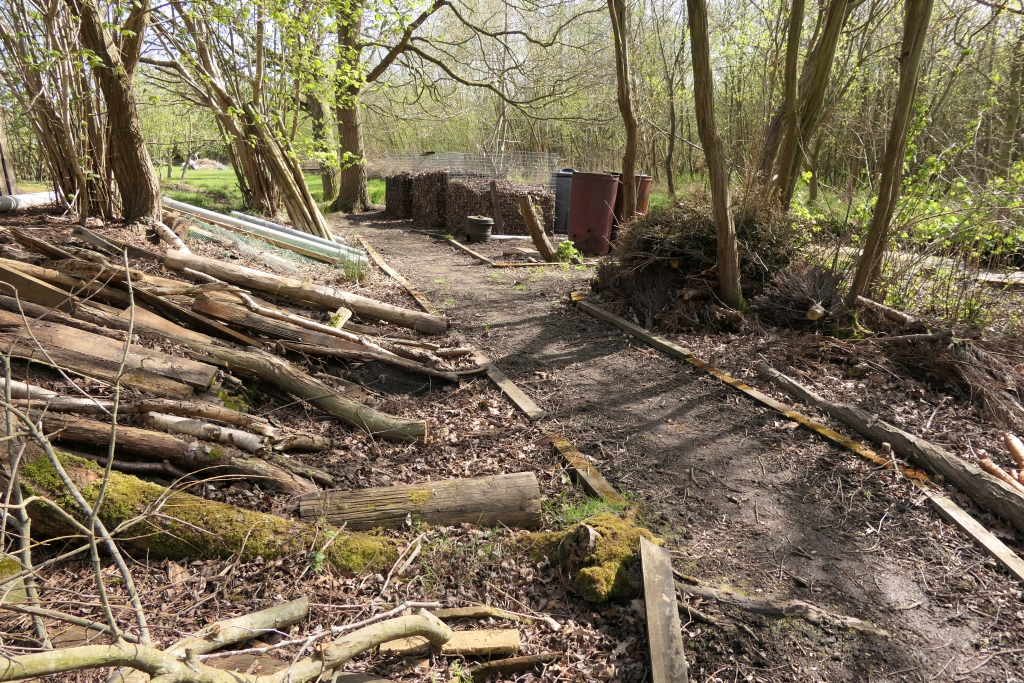 At The Rear of the Reed Bed