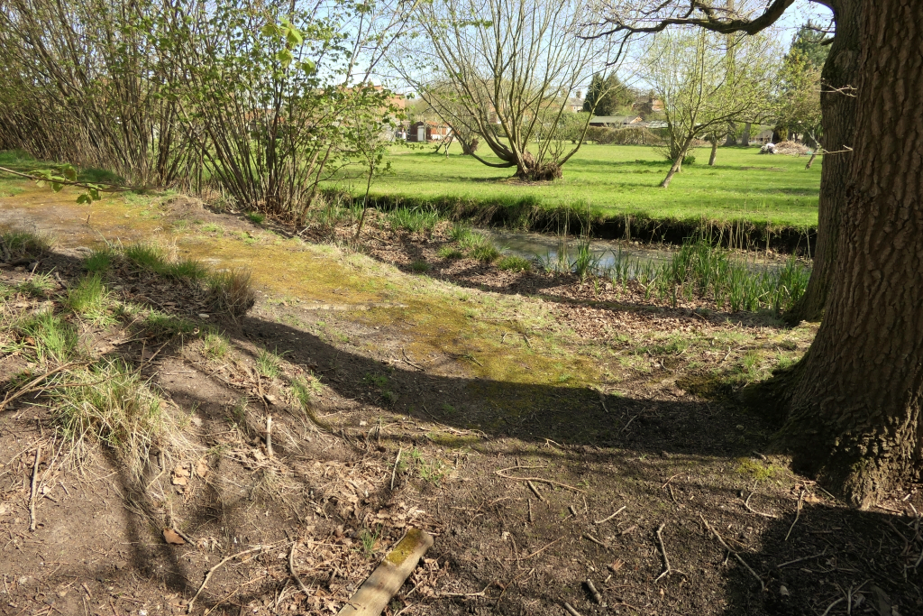 The South Eastern Corner Of The
	Grounds