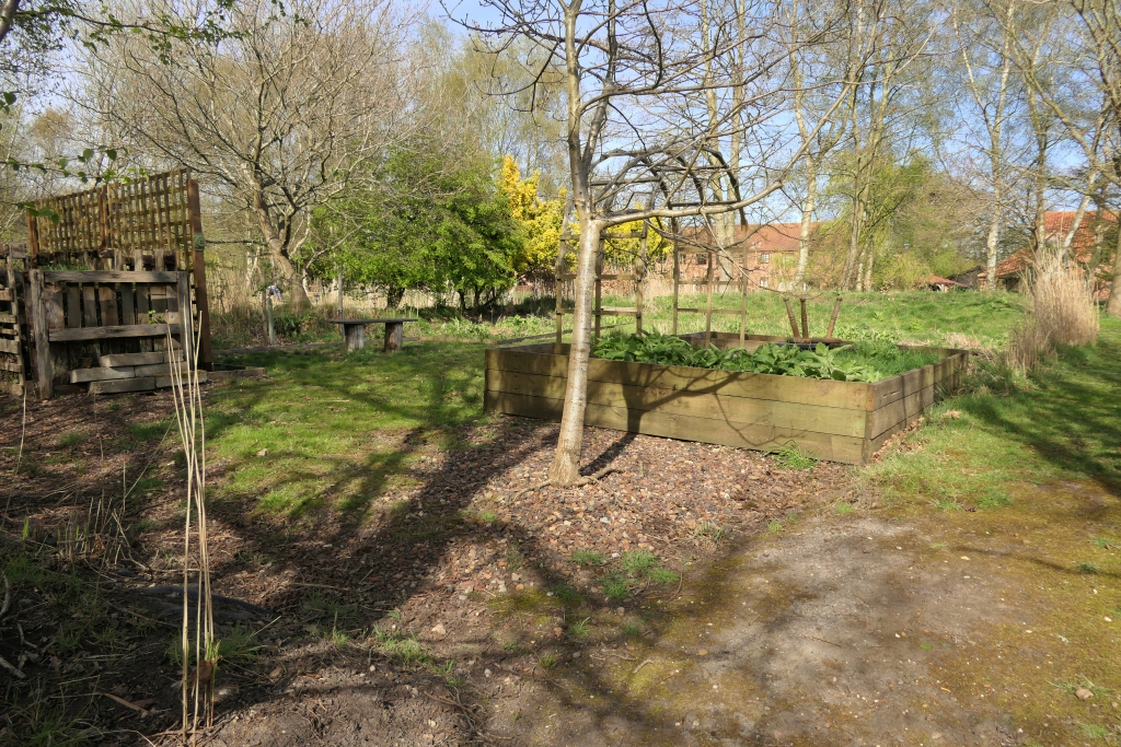 The Raised Vegetable Bed