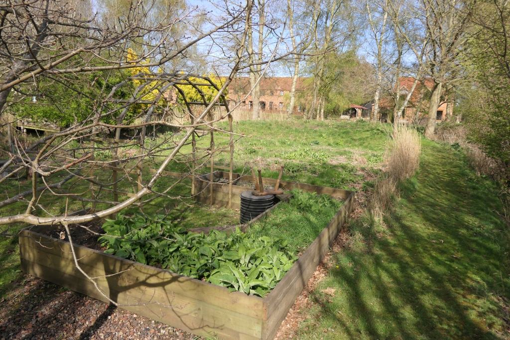 The Raised Bed