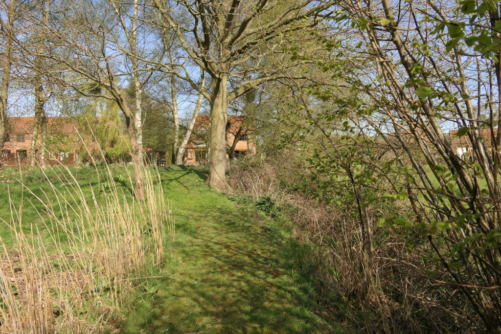 The Wriggle In The Path