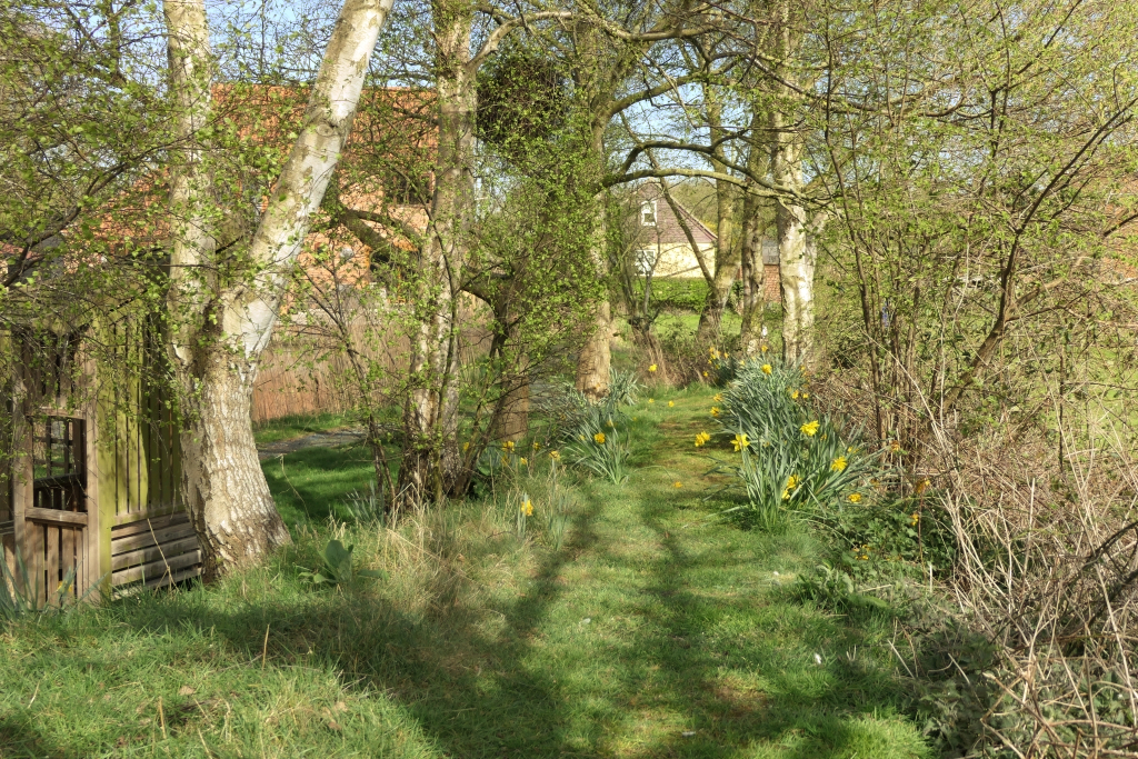 Lake Comes Into View