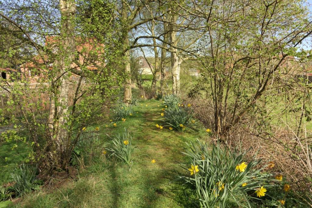 Behind The Arbour Seat